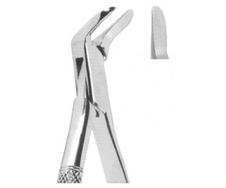 Extracting Forceps American pattern